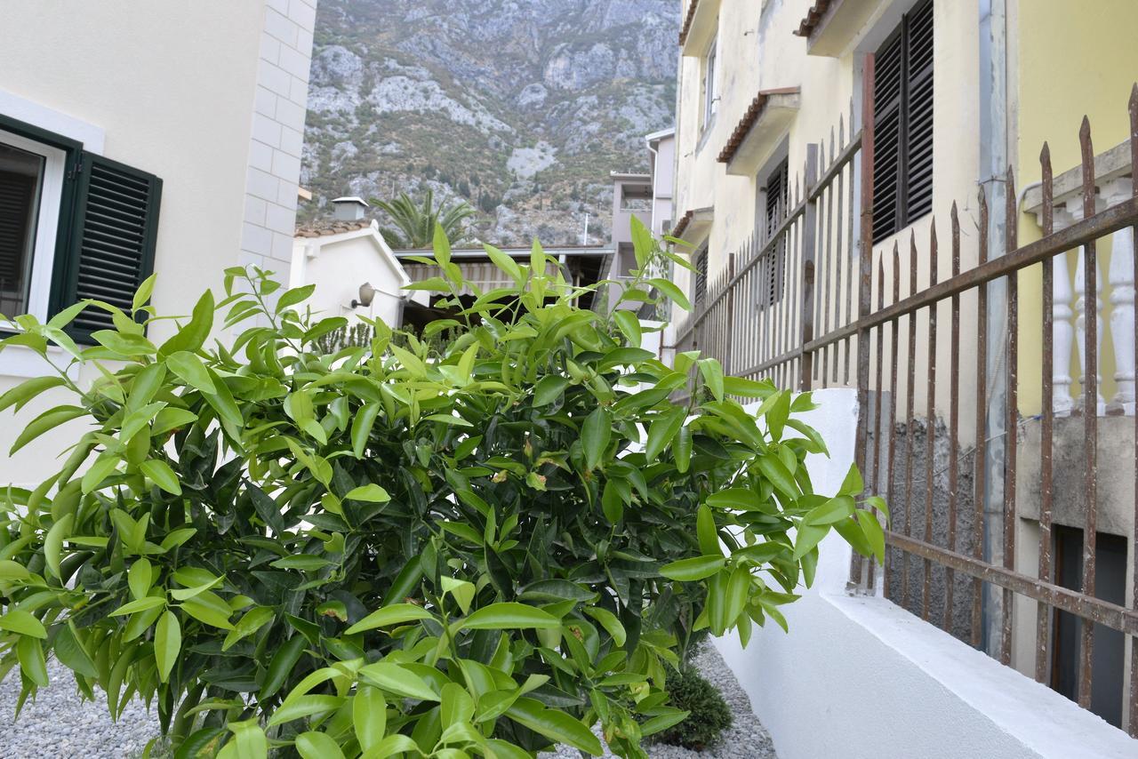 Melodia Del Mare Apartment Kotor Bagian luar foto